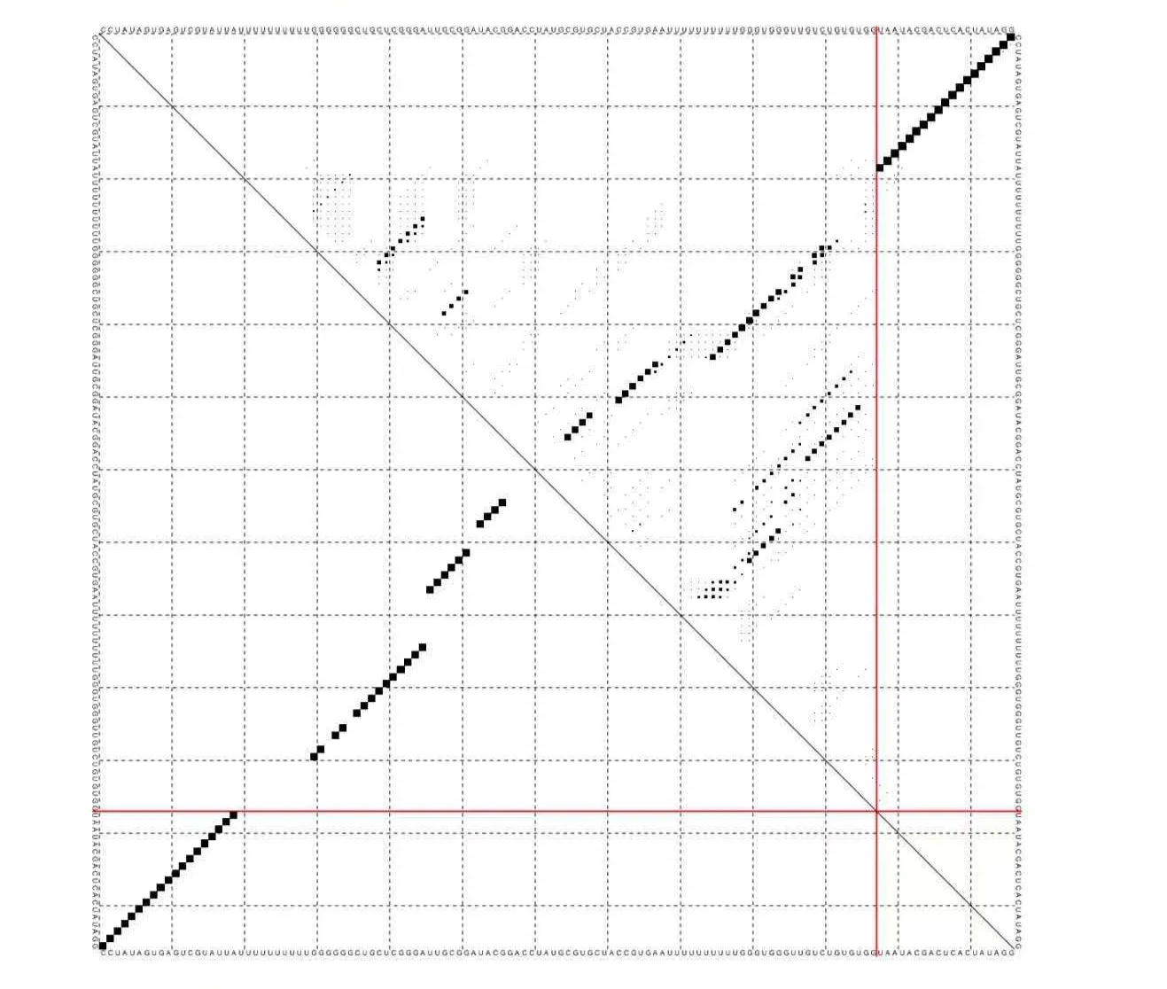 RNA1+DNA secondary structure