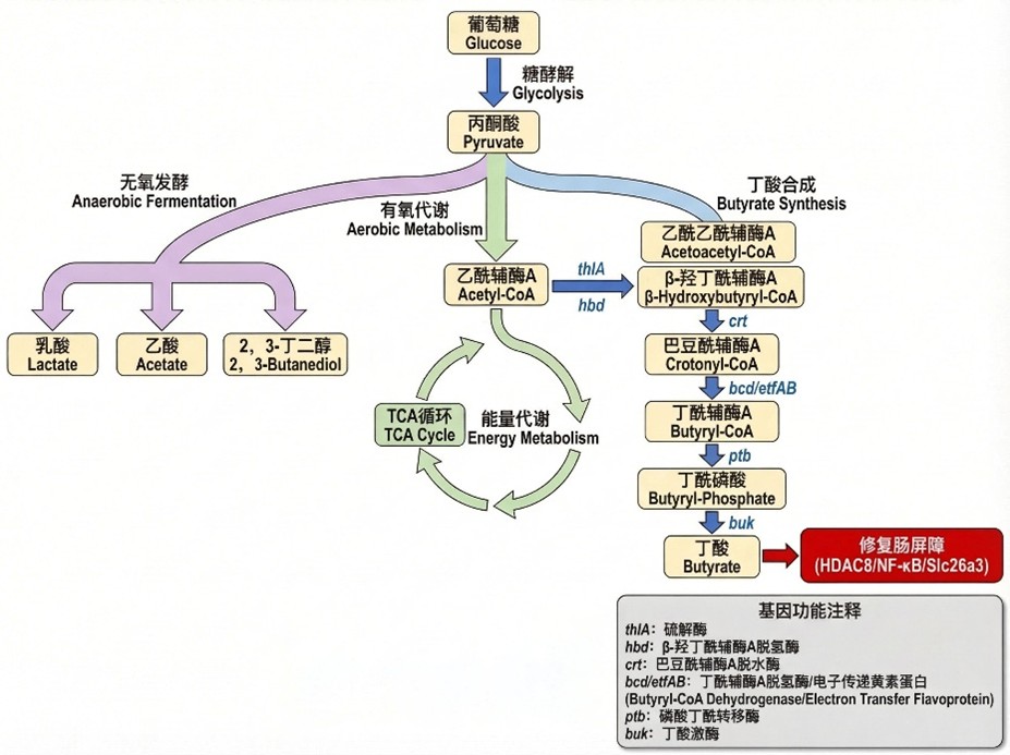 Sense–Compute–Respond