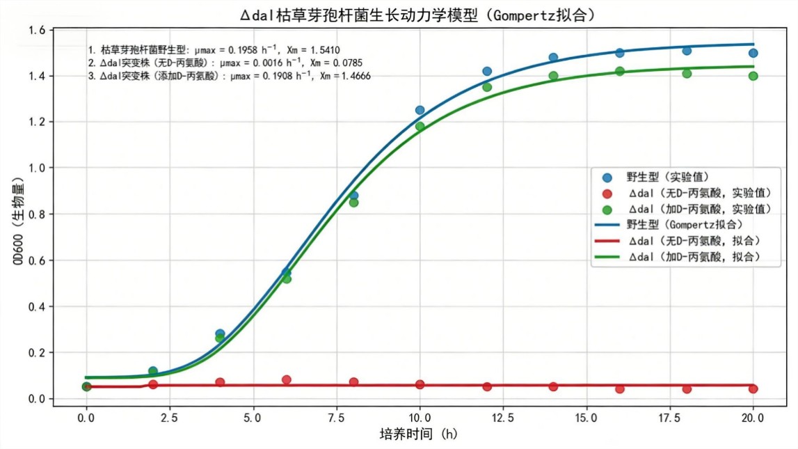 Gompertz growth curves