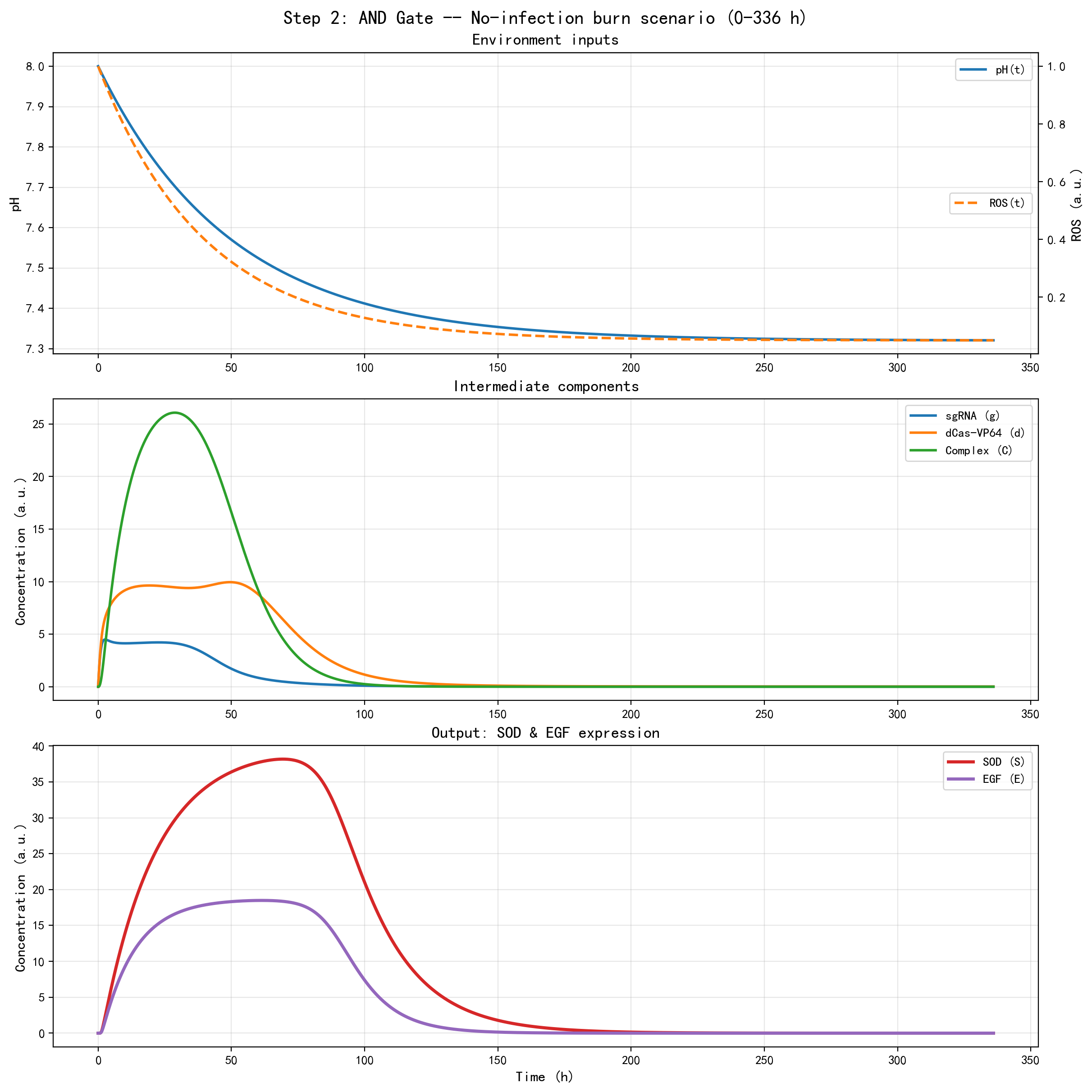 Figure 1C. 无感染烧伤场景下抗炎修复模块的动态响应