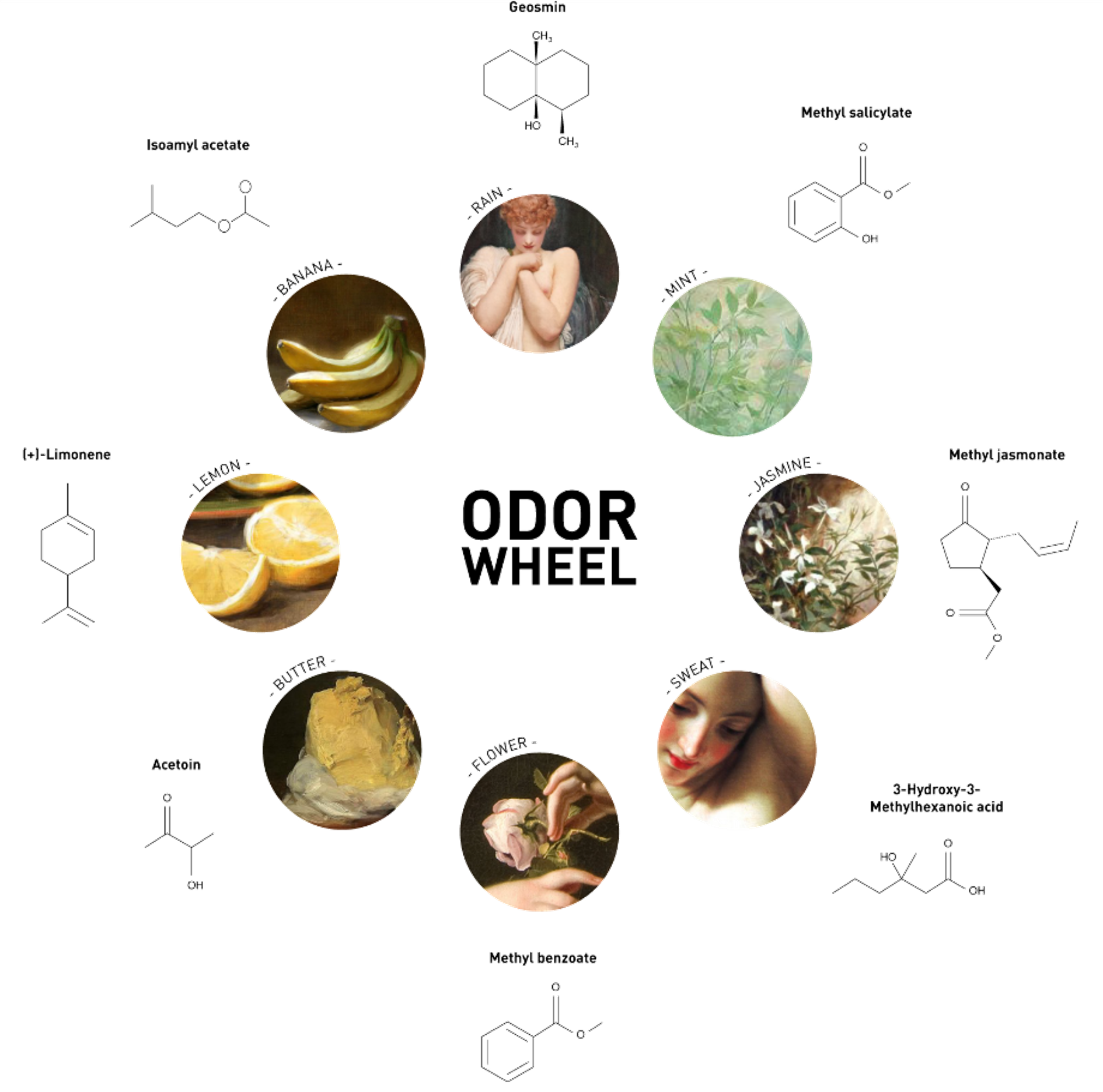 产香模块示意图