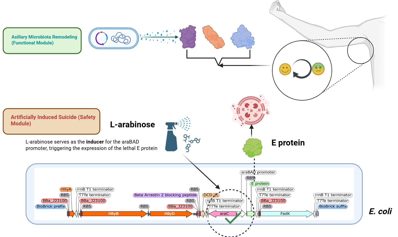 初步设想示意图
