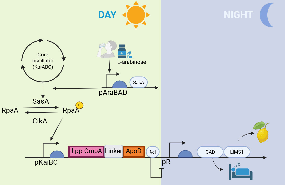 功能模块示意图