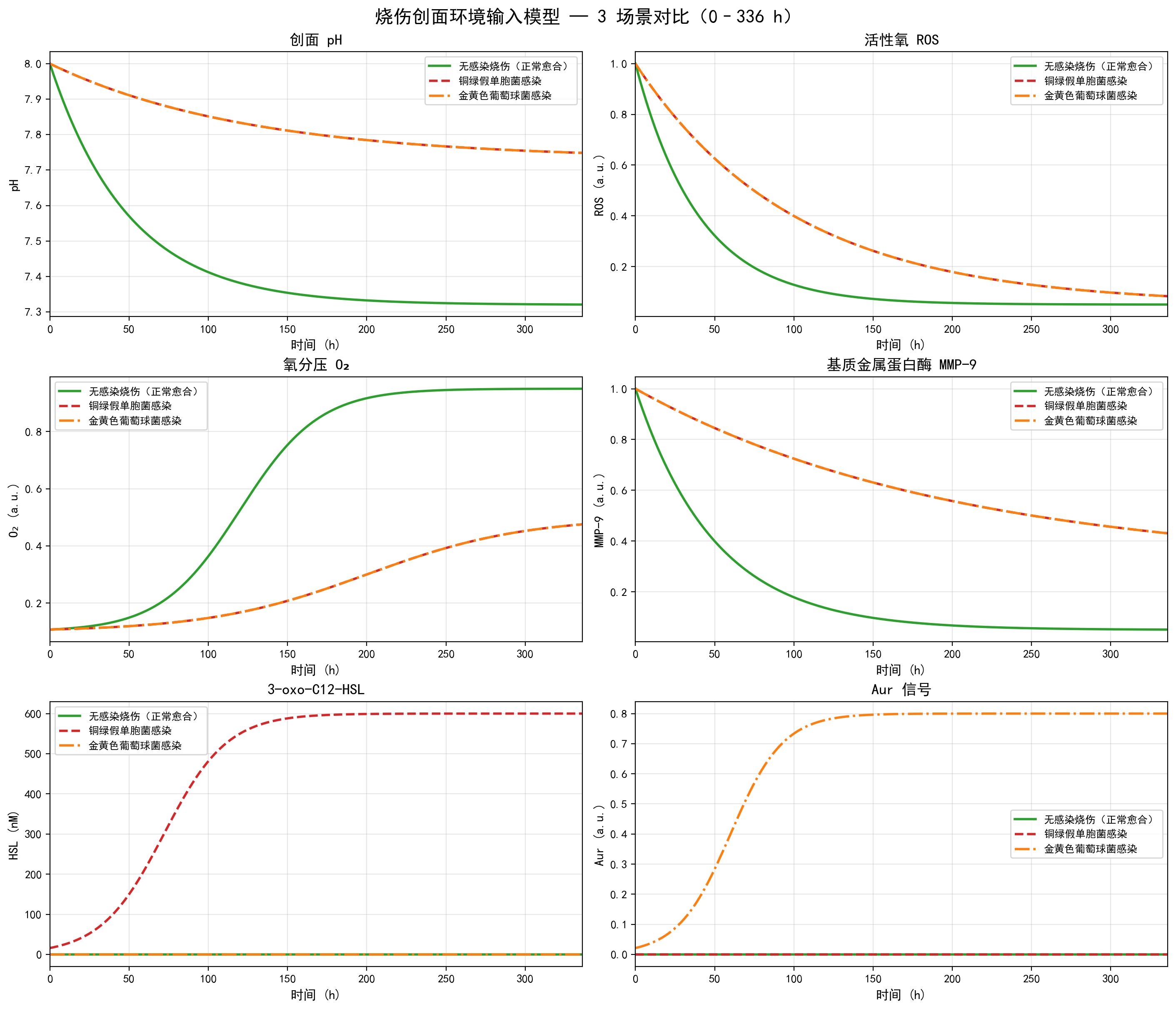 烧伤创面环境输入模型——3 场景对比（0–336 h）