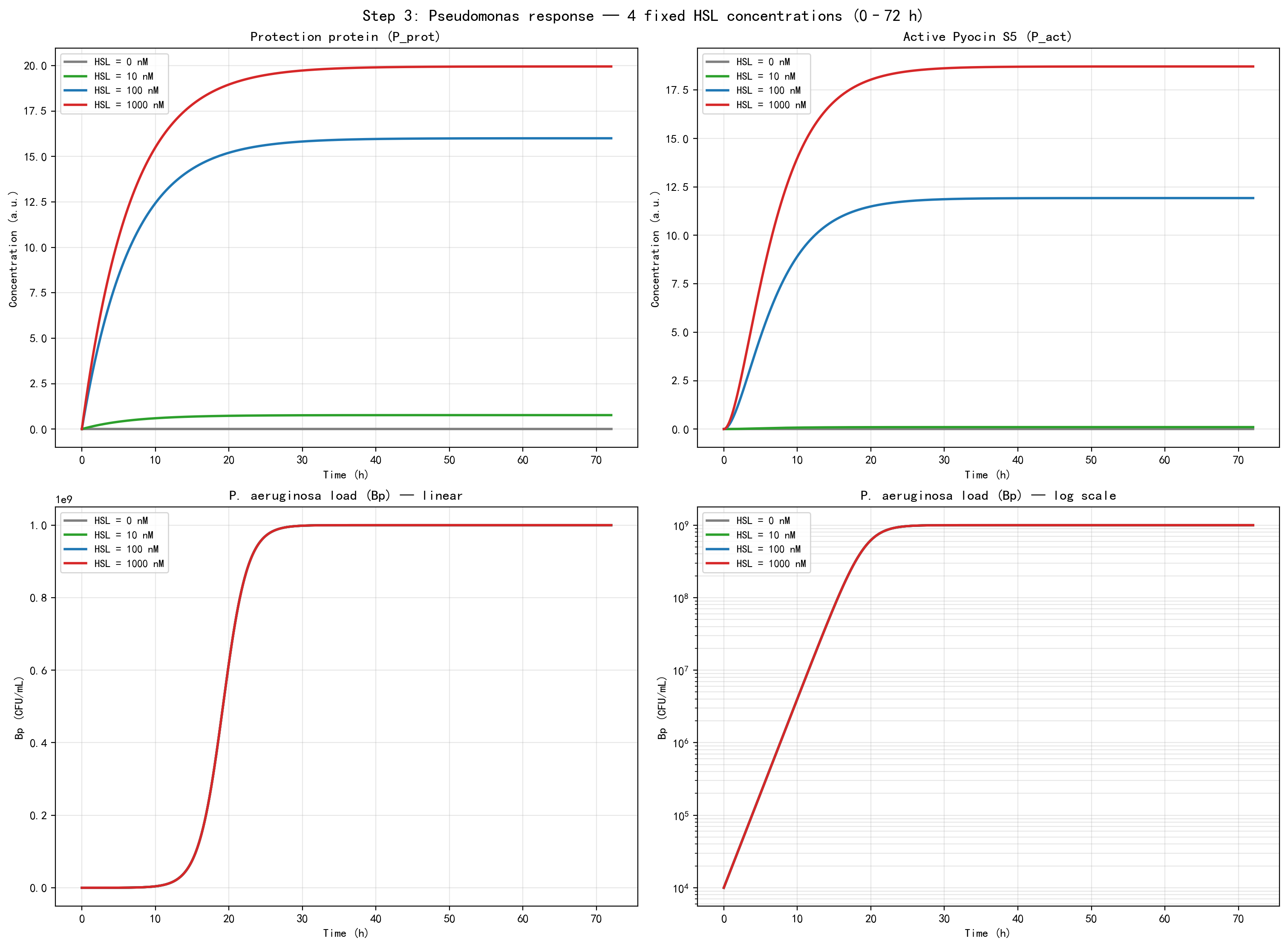 Figure 2B. 四种固定 HSL 条件下铜绿响应模块的动力学模拟