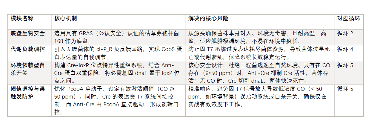 本项目设计的安全考虑总结表