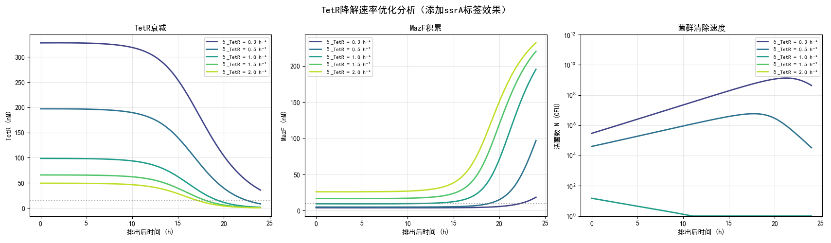 TetR降解速率优化分析