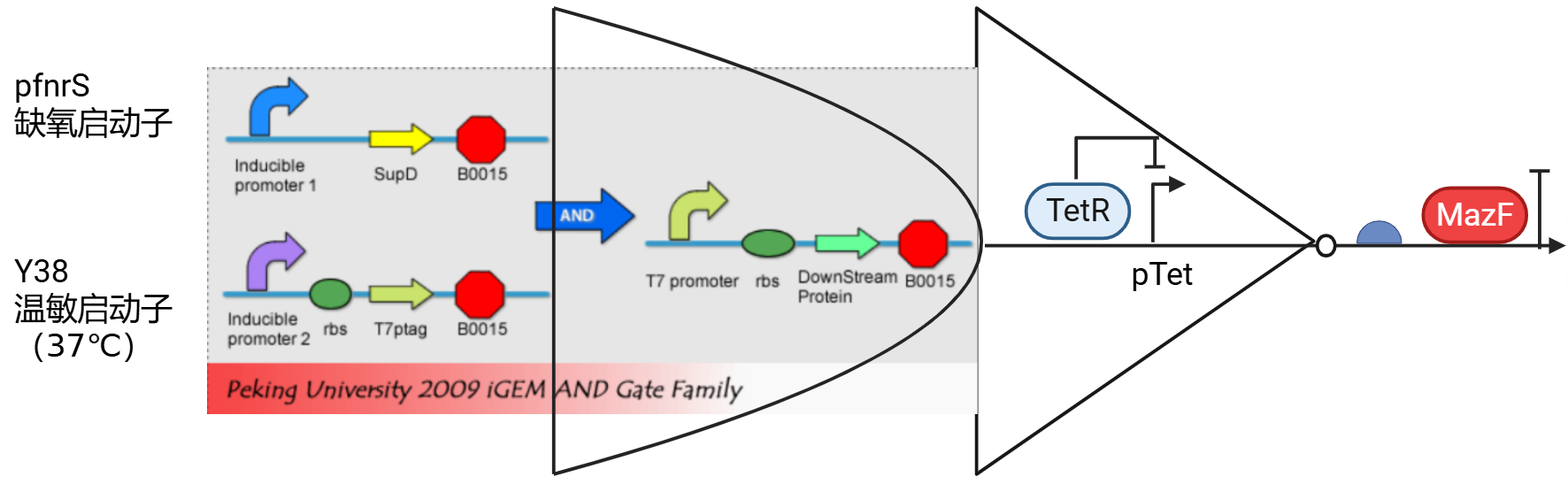 安全模块示意图