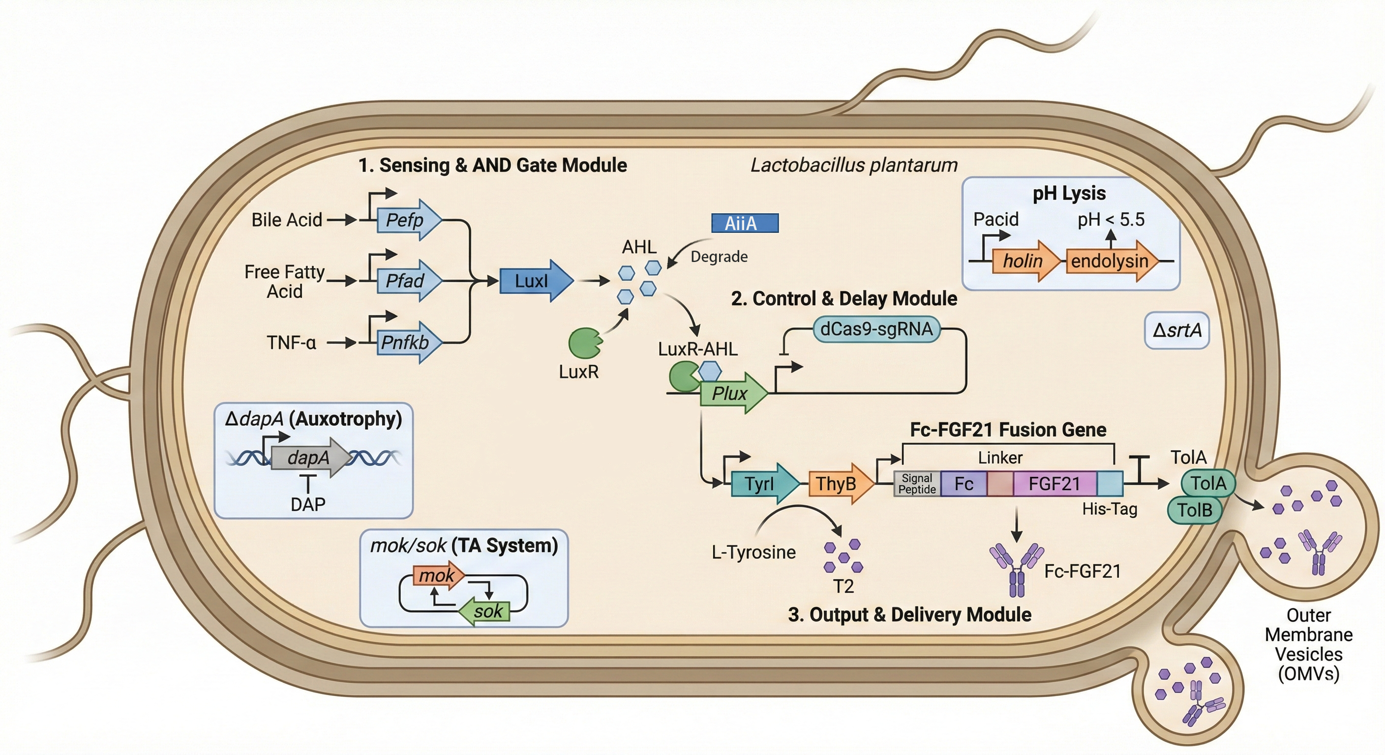 Complete Pathway