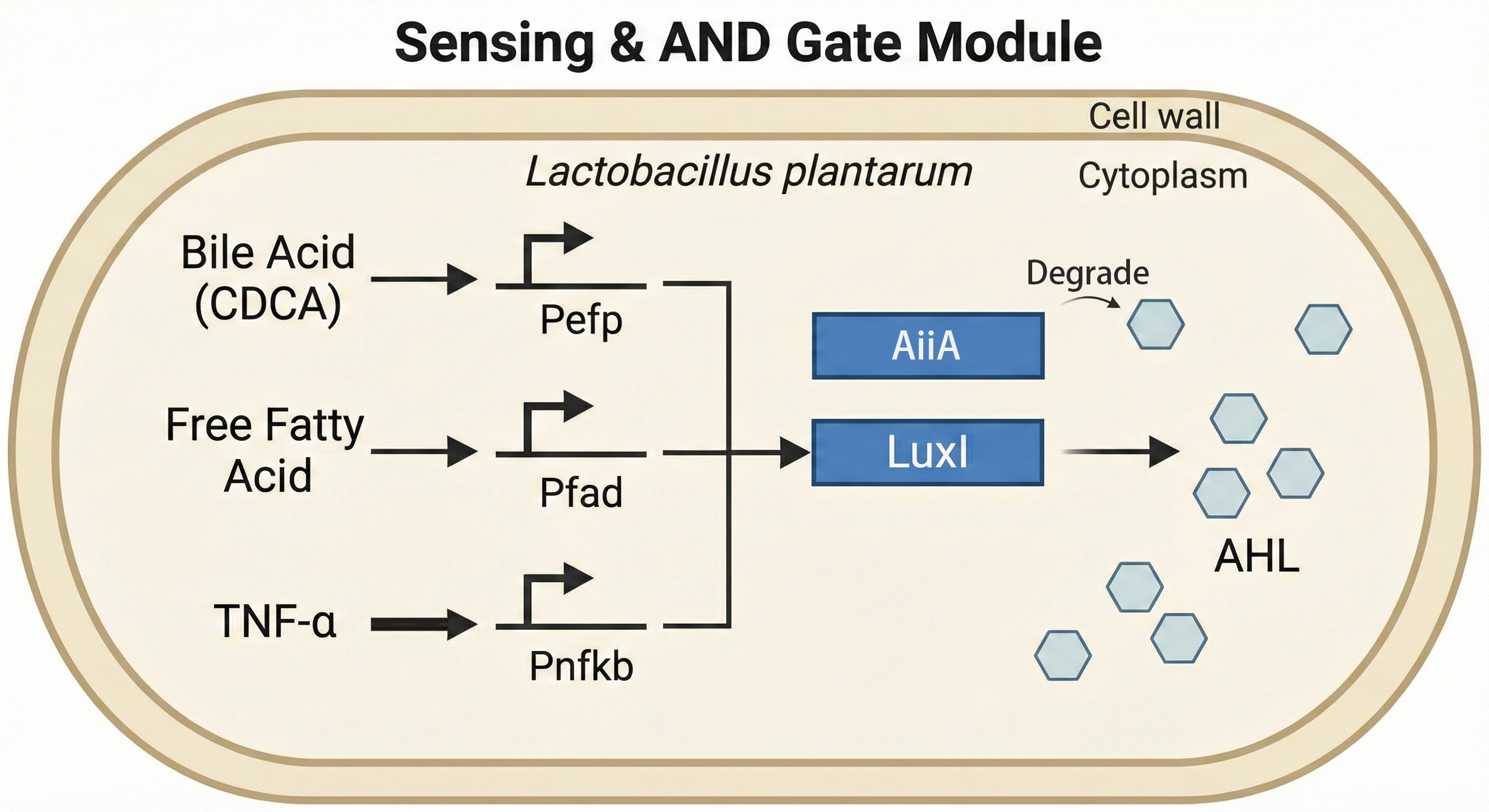 Sensing diagram