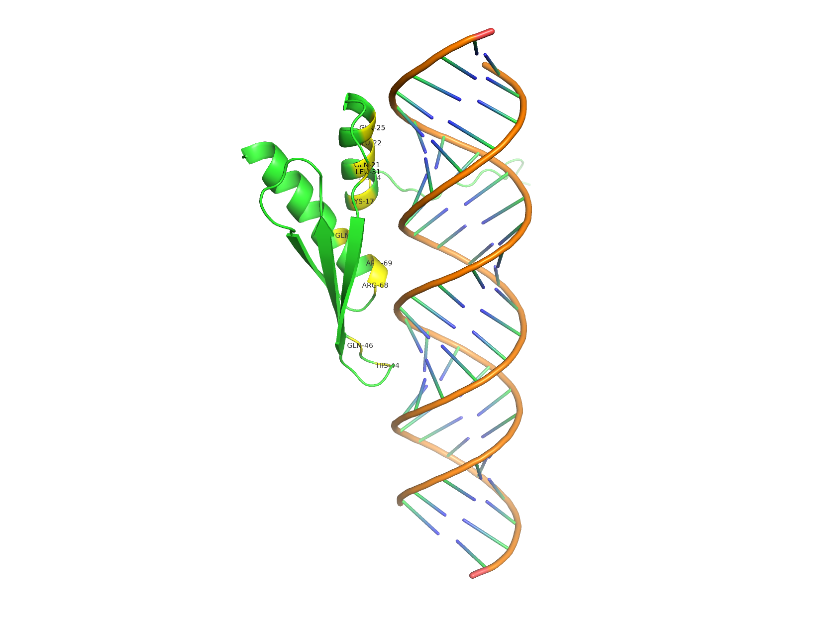 PyMOL分析-结合位点