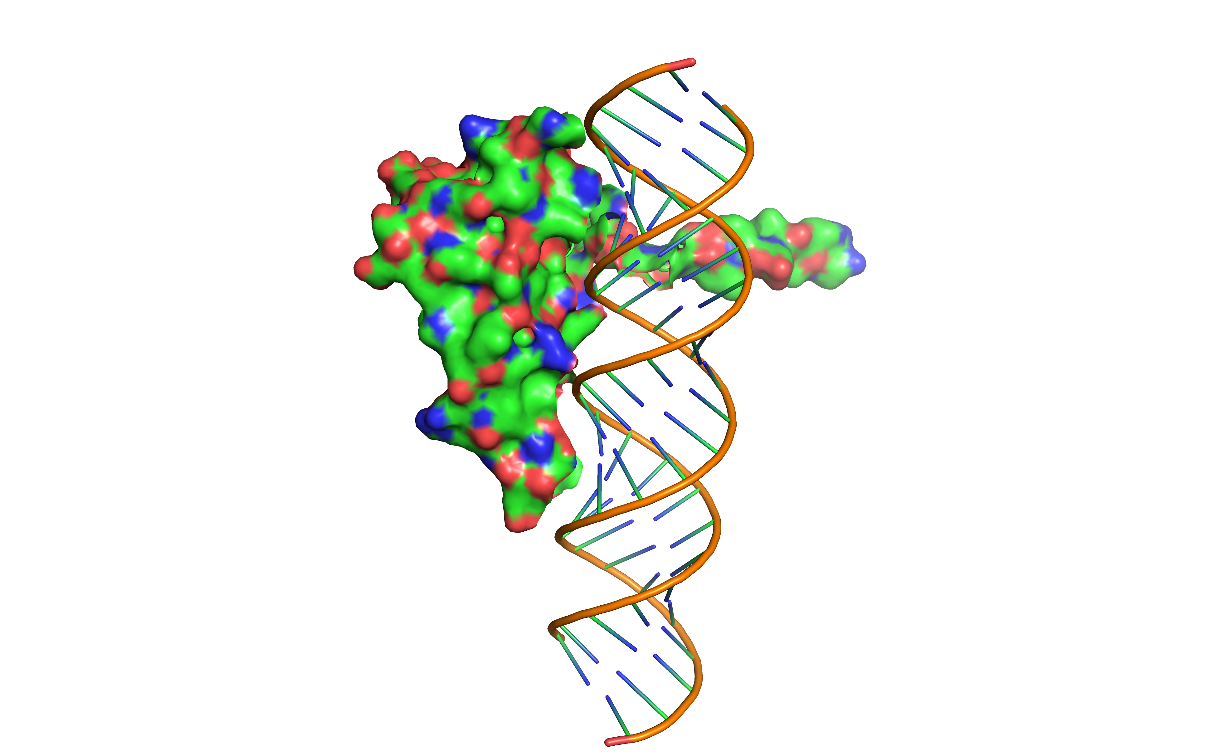 PyMOL分析-全局视图